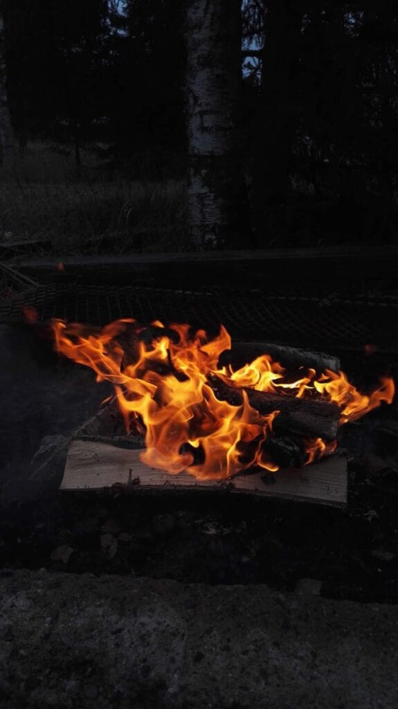 Sudenpentujen Häijy-Väijy - Lue lisää