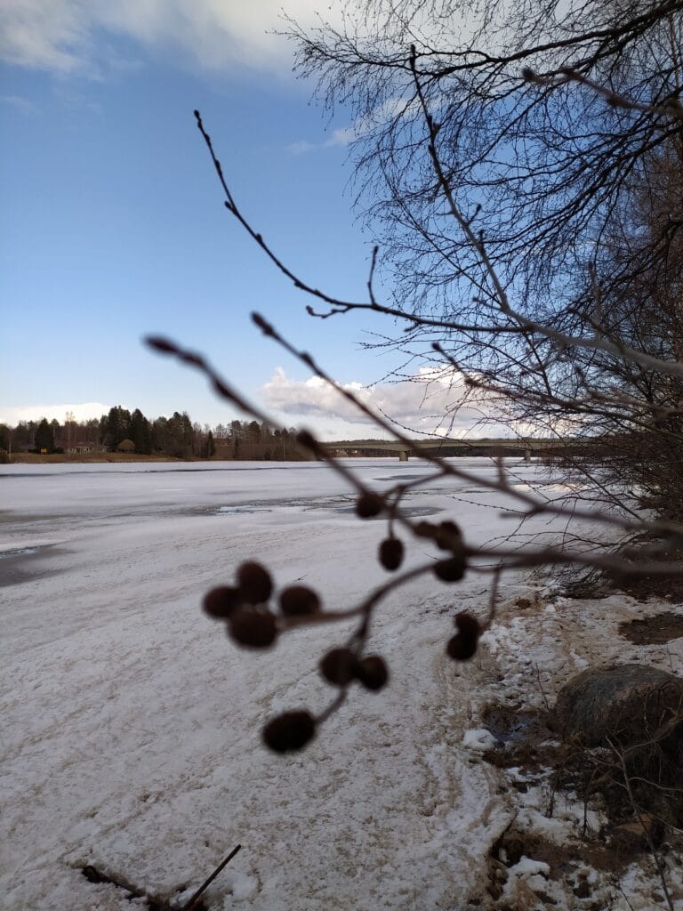 TaSaVa - Lue lisää