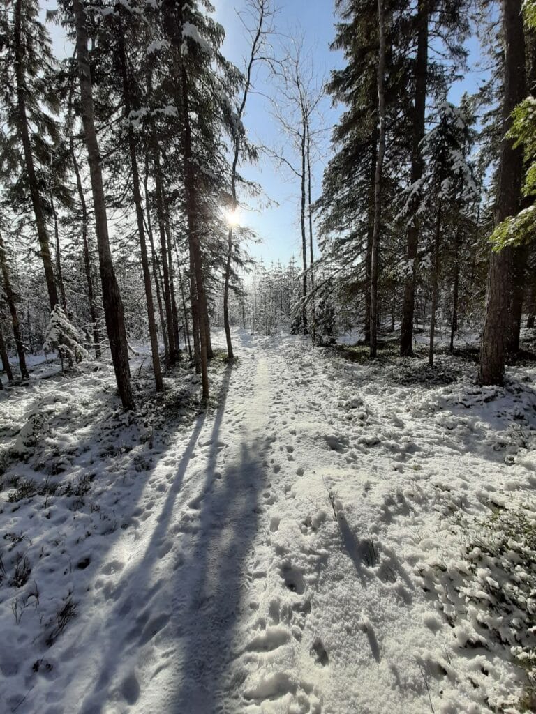 Lippukunnan talvileiri Jäätävä 2023 - Lue lisää